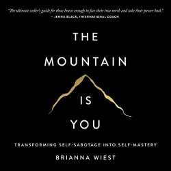 buy The Mountain Is You: Transforming Self-Sabotage into Self-Mastery