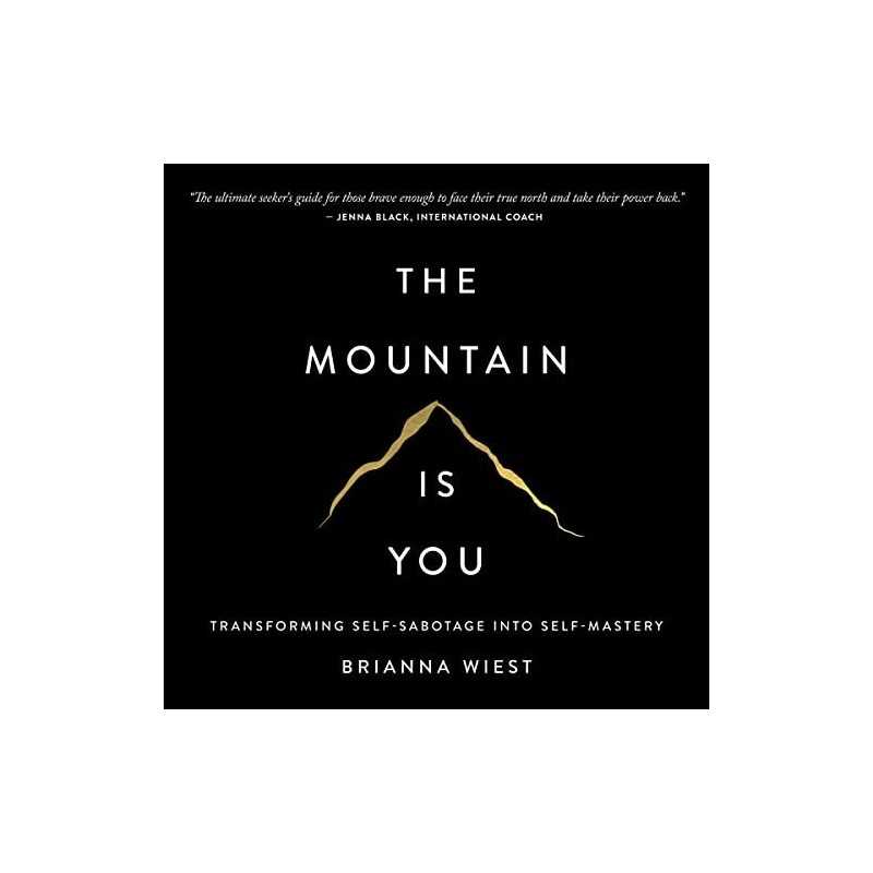 buy The Mountain Is You: Transforming Self-Sabotage into Self-Mastery