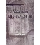 Essays in Medieval Delhi